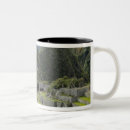 Search for machu picchu mugs South america