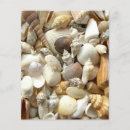 Search for beach scrapbook paper Shells