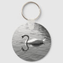 Search for black swan key rings Reflection