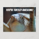 Search for funny turtles postcards Pun
