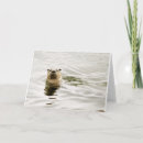 Search for river otters postcards Water