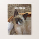 Search for siamese cat puzzles Cute