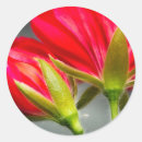 Search for ivy leaf stickers Flower