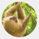 Search for getty stickers Animals