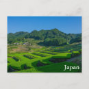 Search for paddy postcards Nature