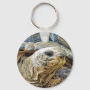Search for tortoise round key rings Animals