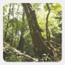 Search for lush foliage stickers Nature