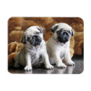 Search for mopping magnets Cute