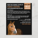 Search for horse flyers Equestrian