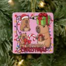 Search for capybara christmas tree decorations Cute