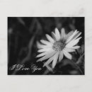 Search for loved postcards Romance
