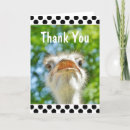 Search for funny animal thank you cards Bird