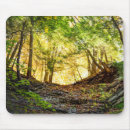 Search for tree fall electronics Nature photography