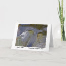 Search for amp cards Photography