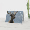 Search for happy moose postcards Elk