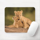 Search for wildcat electronics Africa
