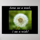 Search for dandelion posters Wildflower