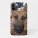 Search for shepard electronics Pet