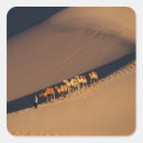 Search for desert camel stickers Nature