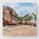 Search for elephant clocks Nature
