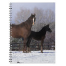 Search for foal notebooks equestrian