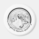 Search for develop magnets Black and white