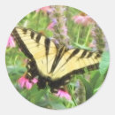 Search for papilio stickers Yellow