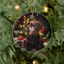 Search for chocolate lab christmas tree decorations Pet