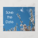 Search for cherry blossom save the dates Blue