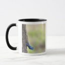 Search for adapter mugs Outdoors