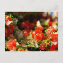 Search for salsa postcards Mexico