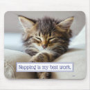 Search for kitten electronics Humor