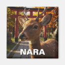 Search for travel magnets Souvenir