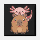 Search for funny animals magnets Kawaii