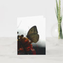 Search for solitude cards Photograph