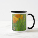 Search for golden poppy mugs California