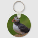 Search for coastline key rings Island