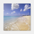 Search for barbuda magnets Tropical