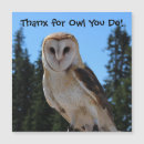 Search for canadian wildlife cards Animals