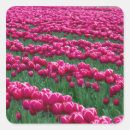 Search for state flower stickers Washington