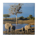Search for african elephant tiles Animal