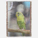 Search for kiwi blankets Bird