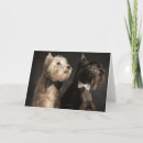 Search for scotty dog westie cards Cute