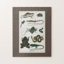 Search for reptile puzzles Cute