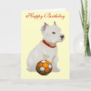 Search for westie birthday cards Party