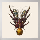 Search for sea creatures posters Vintage