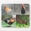 Search for hens electronics Nature