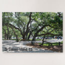 Search for live oak tree Photography