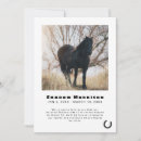 Search for pet loss invitations Sympathy