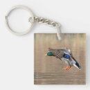 Search for mallard key rings Water